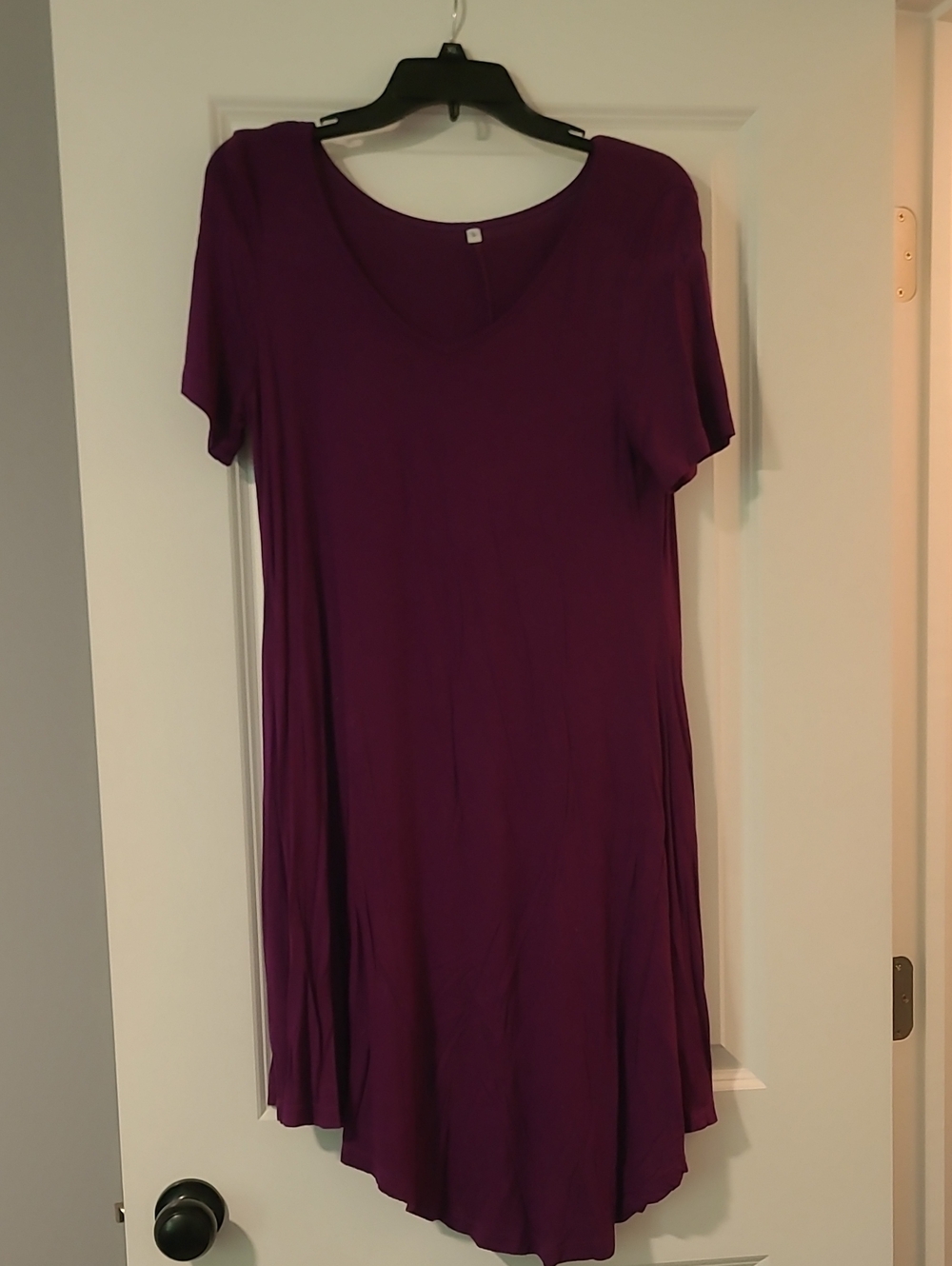 Amazon Women’s Purple V-Neck Short Sleeve Tunic Dress